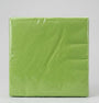 Pack 16 Servilletas de Papel Verde Lima 33x33 cm 2 Capas